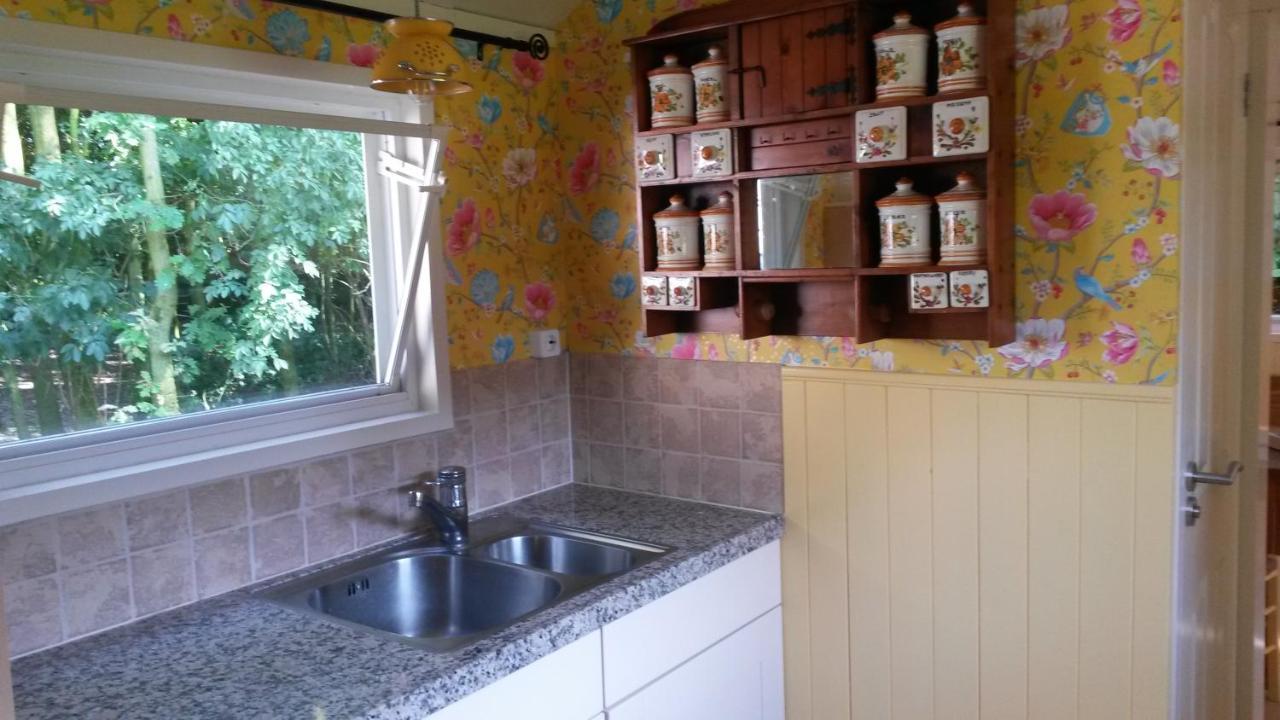 Pipowagen Camping Puur Genieten Bed & Breakfast Someren Ngoại thất bức ảnh